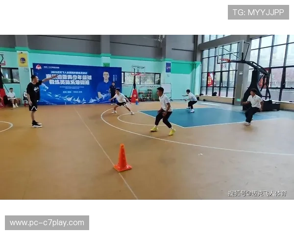 青少年篮球培训体系完善促进基层教练员培养质量全面提升路径研究